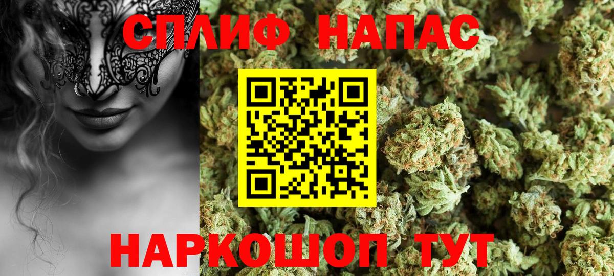 Конопля White Widow Санкт-Петербург